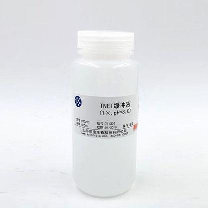 Tris鎂鹽緩沖液（1×，pH=7.8）